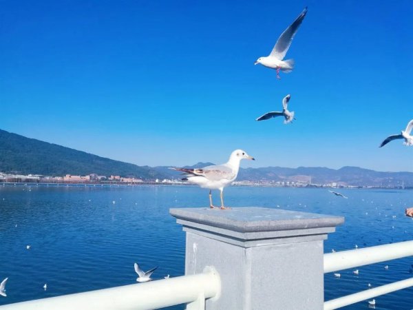 嘉多网 高骈《山亭夏日》：一首夏日小诗，短短28字，说透了世间所有温柔