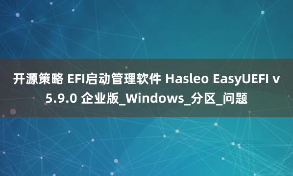 开源策略 EFI启动管理软件 Hasleo EasyUEFI v5.9.0 企业版_Windows_分区_问题