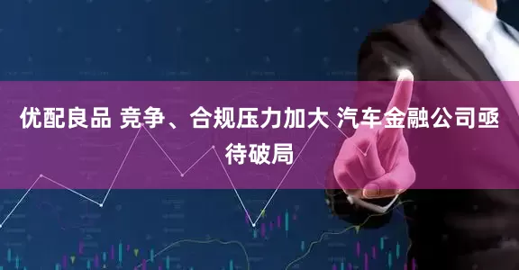 优配良品 竞争、合规压力加大 汽车金融公司亟待破局