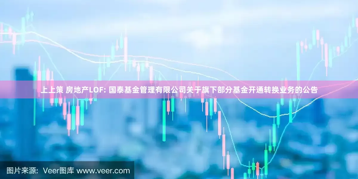 上上策 房地产LOF: 国泰基金管理有限公司关于旗下部分基金开通转换业务的公告