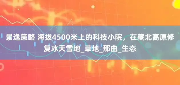景逸策略 海拔4500米上的科技小院，在藏北高原修复冰天雪地_草地_那曲_生态